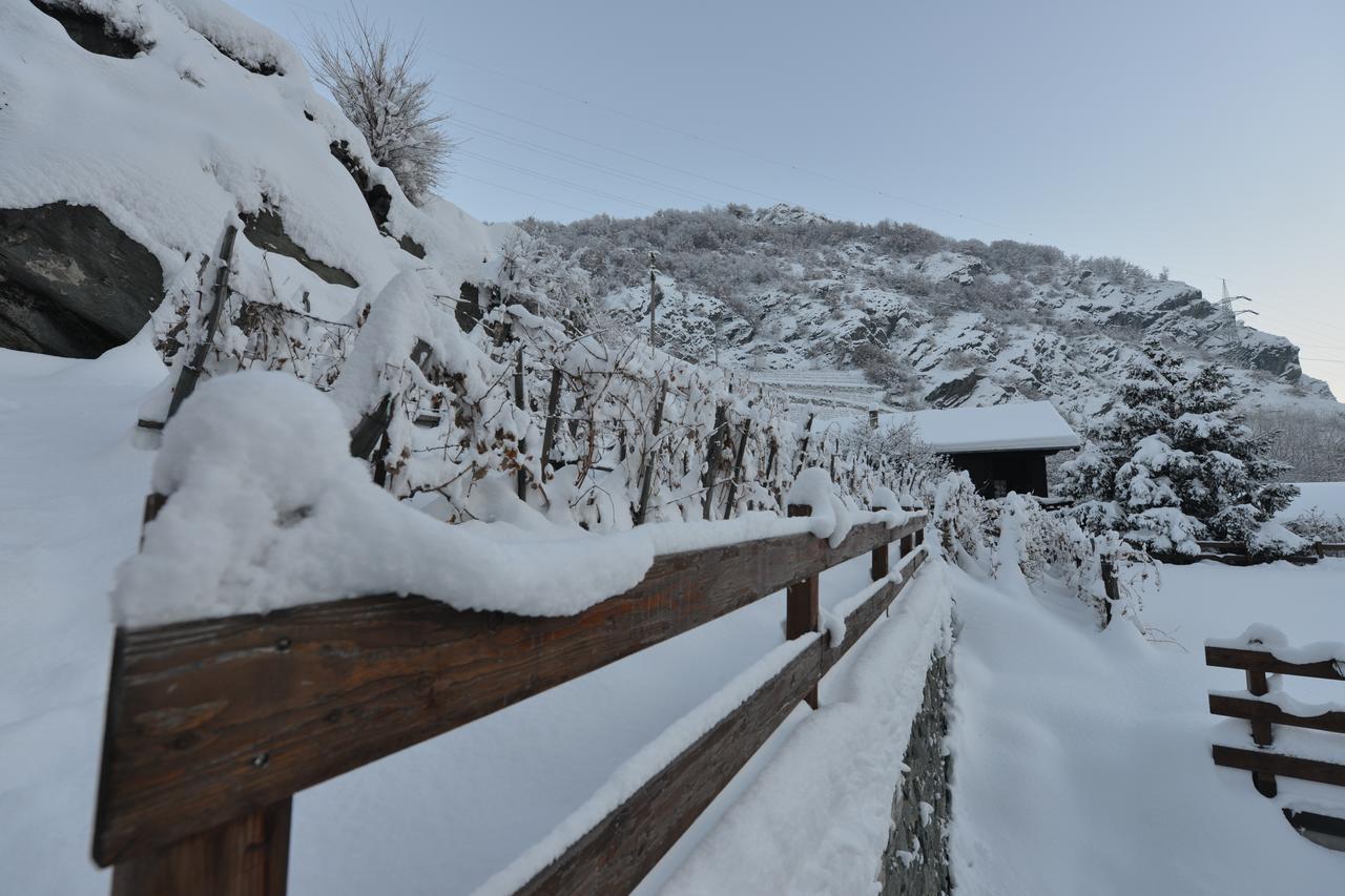 Au Berceau Du Bien-Etre Villa Chambave Buitenkant foto